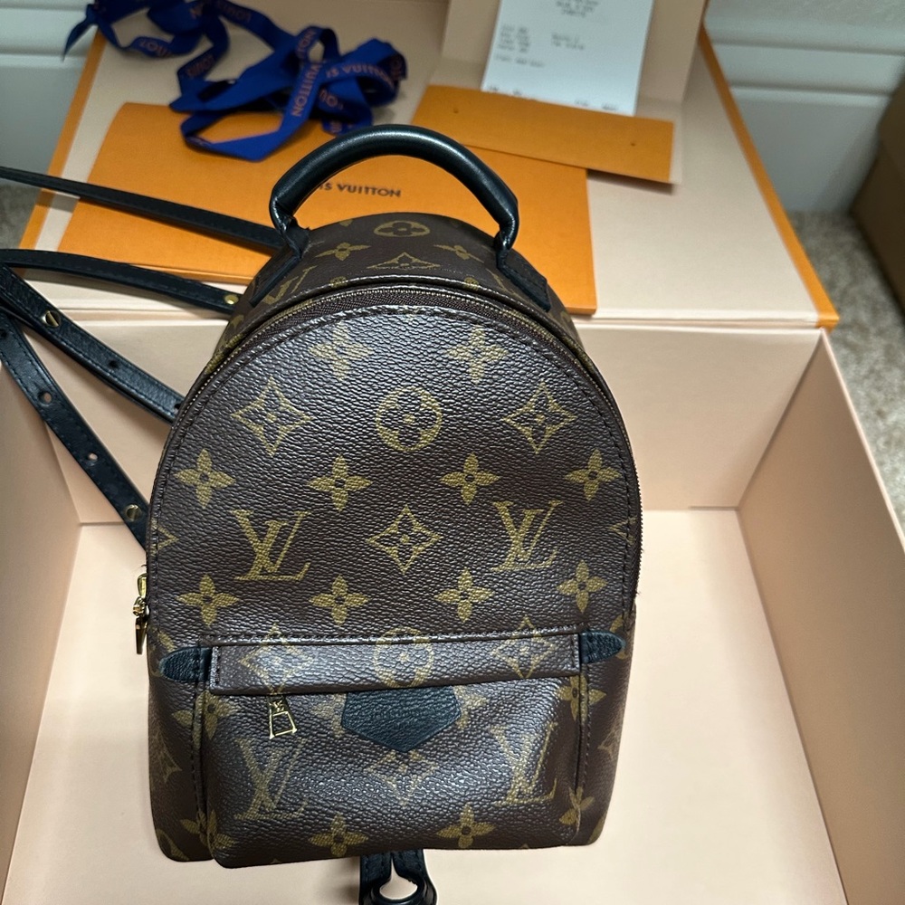 Louis Vuitton palm springs mini